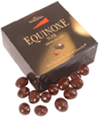 Chocolate covered coffee beans